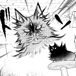 キラーペルシャ